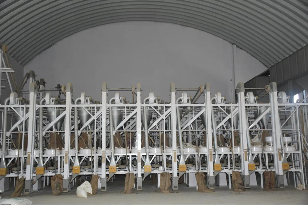 0264e364 524b 4360 b161 541cd8257618 1000x1000