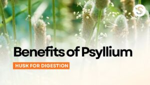 Benefits of Psyllium Husk for Digestion