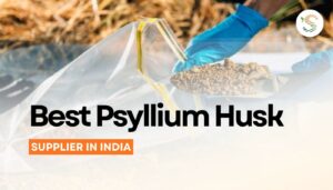 Best Psyllium Husk Supplier in India