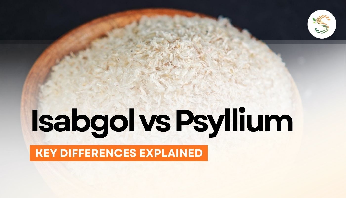 Isabgol vs Psyllium Powder – Key Differences Explained