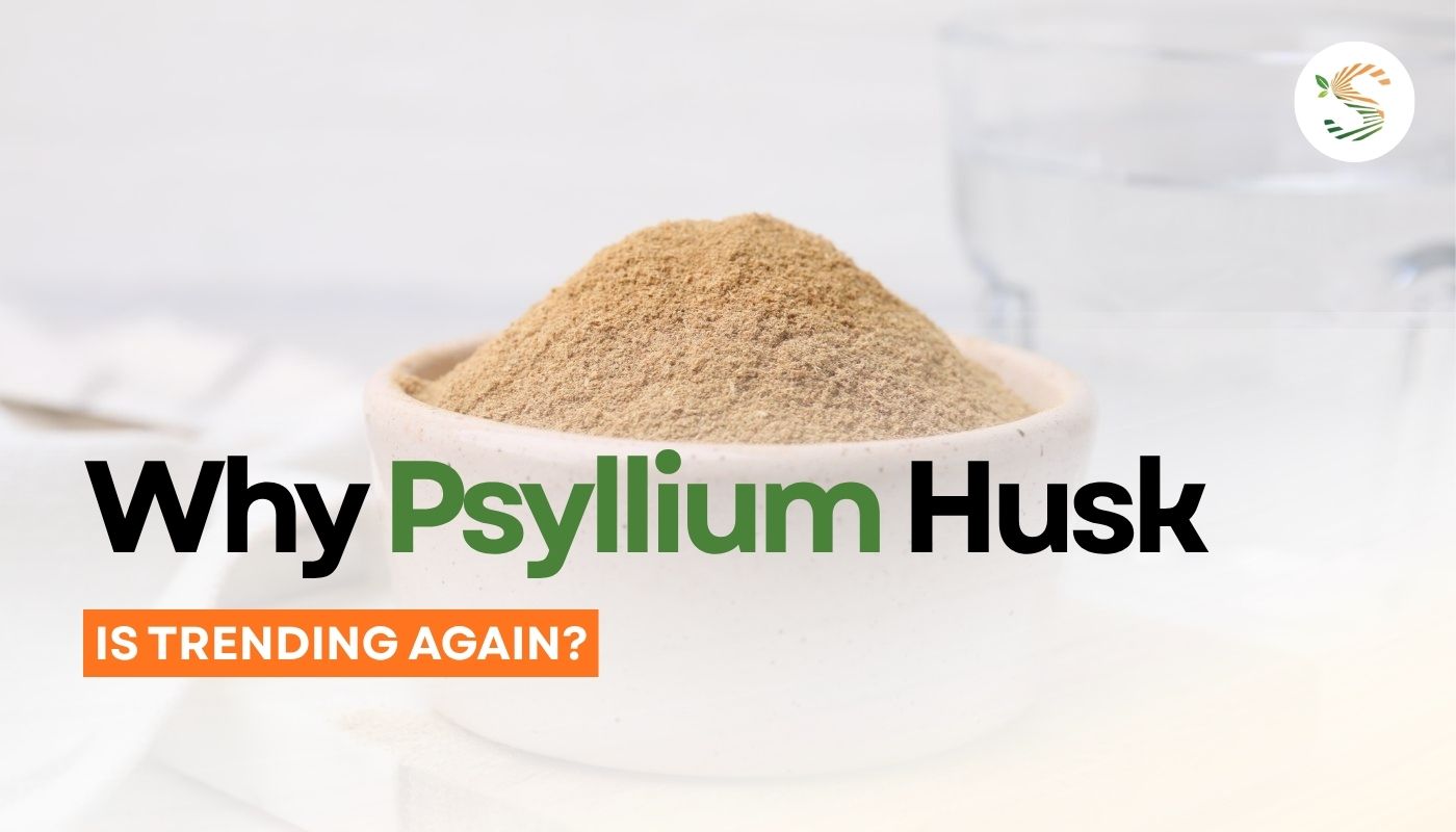 Why psyllium husk is trending again